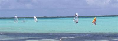 windsurfing-close-small.jpg
